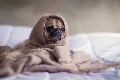 Стресс и негатив ухудшают внешний вид