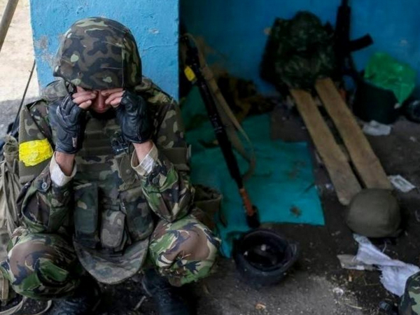 В США рассказали, как радикально разрешить конфликт на Украине В США рассказали, как радикально разрешить конфликт на Украине