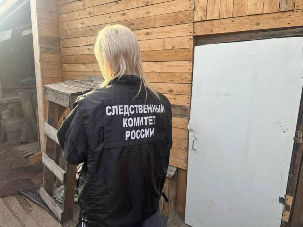 Многодетная мать зарубила топором троих малышей: что известно о кошмарном детоубийстве