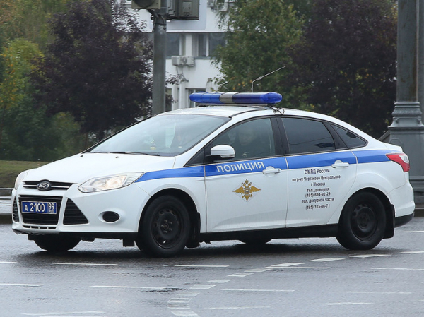 Новые детали обнаружения склепа с трупами в подмосковной квартире: было много мух