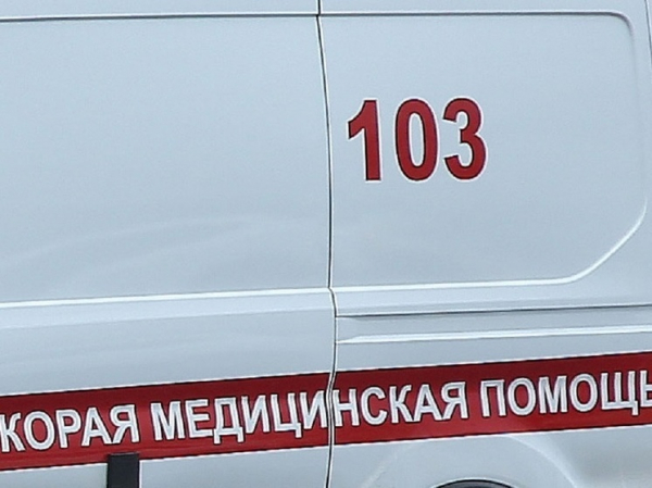 У вольера с пандами в Москве девочке чуть не пробило голову